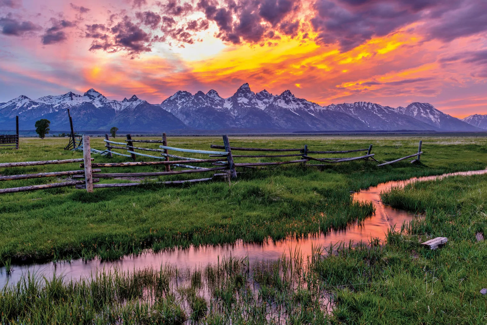 Jackson Hole & Tetons